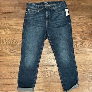 Gap Womens Universal Slim Boyfriend Sz 10/30R *NEW WITH TAGS*